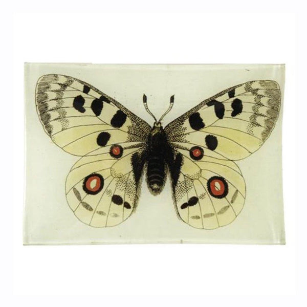 John Deriam Apollo Butterfly Plate - 1love2hugs3kisses Ibiza