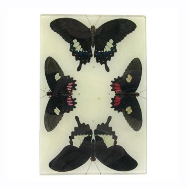 John Deriam 4 Butterflies Plate - 1love2hugs3kisses Ibiza
