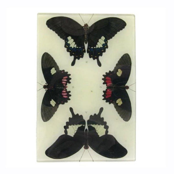 John Deriam 4 Butterflies Plate available at 1love2hugs3kisses Ibiza